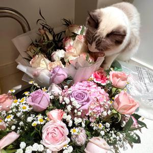 被黑人一个接一个糟蹋
