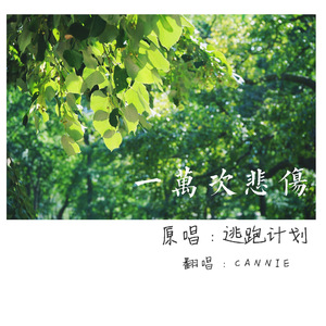 被黑人一个接一个糟蹋
